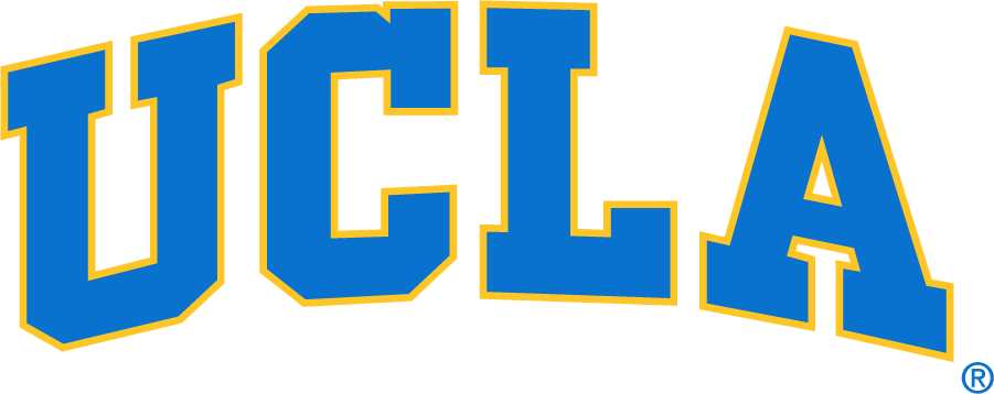 UCLA Bruins 1996-2017 Wordmark Logo v2 DIY iron on transfer (heat transfer)